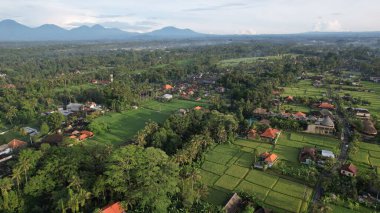 Bali, Endonezya - 11 Kasım 2022: Bali 'nin Turistik Çekim ve Yerleşkeleri