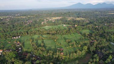 Bali, Endonezya - 11 Kasım 2022: Bali 'nin Turistik Çekim ve Yerleşkeleri