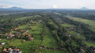 Bali, Endonezya - 11 Kasım 2022: Bali 'nin Turistik Çekim ve Yerleşkeleri