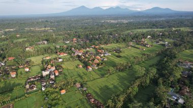 Bali, Endonezya - 11 Kasım 2022: Bali 'nin Turistik Çekim ve Yerleşkeleri