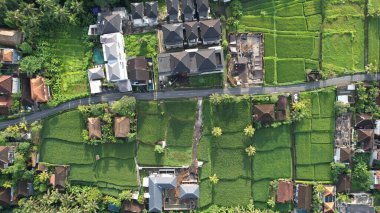 Bali, Endonezya - 11 Kasım 2022: Bali 'nin Turistik Çekim ve Yerleşkeleri