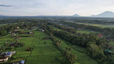 Bali, Endonezya - 11 Kasım 2022: Bali 'nin Turistik Çekim ve Yerleşkeleri