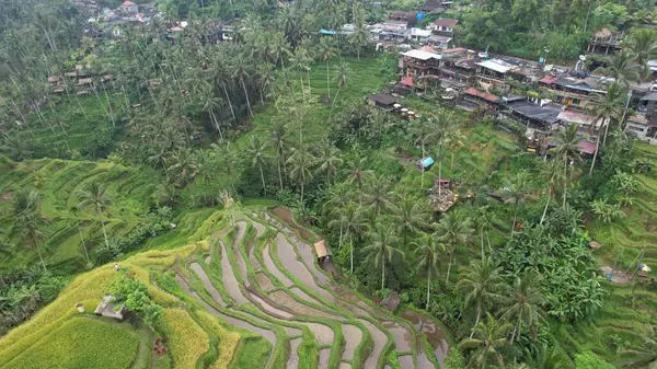 Балі Індонезія Листопада 2022 Туристичні Принади Пам Ятки Балі — стокове фото