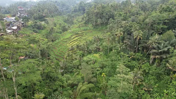 Бали Индонезия Ноября 2022 Года Туристические Достопримечательности Достопримечательности Бали — стоковое фото