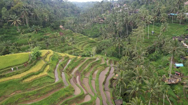 Bali Indonesia Novembre 2022 Attrazioni Turistiche Punti Riferimento Bali — Foto Stock