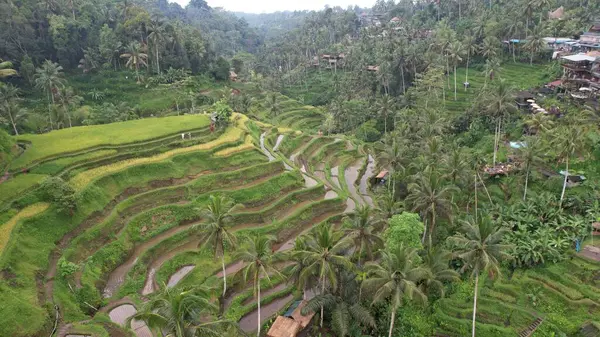 Bali Indonésie Novembre 2022 Les Attractions Touristiques Les Monuments Bali — Photo
