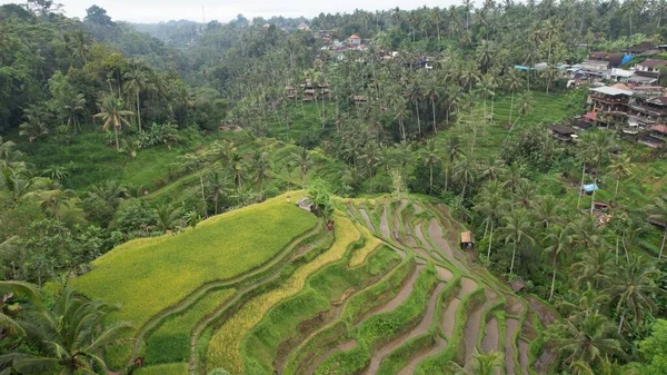 stock image Bali, Indonesia - November 11, 2022: The Tourist Attractions and Landmarks of Bali