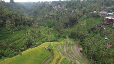 Bali, Endonezya - 11 Kasım 2022: Bali 'nin Turistik Çekim ve Yerleşkeleri