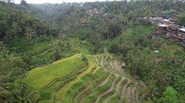 Bali, Endonezya - 11 Kasım 2022: Bali 'nin Turistik Çekim ve Yerleşkeleri