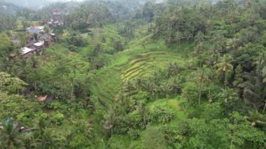 Bali, Endonezya - 11 Kasım 2022: Bali 'nin Turistik Çekim ve Yerleşkeleri