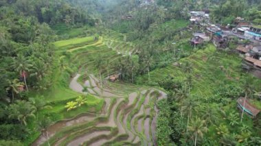 Bali, Endonezya - 11 Kasım 2022: Bali 'nin Turistik Çekim ve Yerleşkeleri