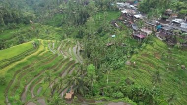 Bali, Endonezya - 11 Kasım 2022: Bali 'nin Turistik Çekim ve Yerleşkeleri