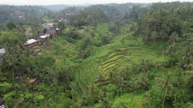 Bali, Endonezya - 11 Kasım 2022: Bali 'nin Turistik Çekim ve Yerleşkeleri