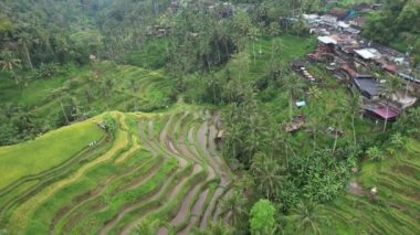 Bali, Endonezya - 11 Kasım 2022: Bali 'nin Turistik Çekim ve Yerleşkeleri