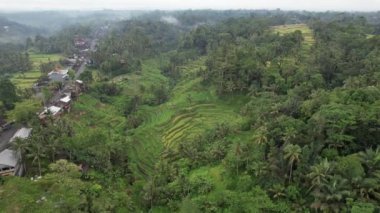 Bali, Endonezya - 11 Kasım 2022: Bali 'nin Turistik Çekim ve Yerleşkeleri