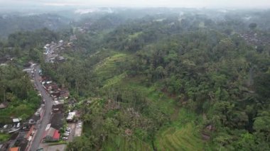 Bali, Endonezya - 11 Kasım 2022: Bali 'nin Turistik Çekim ve Yerleşkeleri