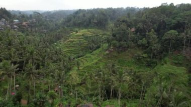 Bali, Endonezya - 11 Kasım 2022: Bali 'nin Turistik Çekim ve Yerleşkeleri