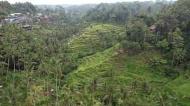 Bali, Endonezya - 11 Kasım 2022: Bali 'nin Turistik Çekim ve Yerleşkeleri