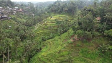 Bali, Endonezya - 11 Kasım 2022: Bali 'nin Turistik Çekim ve Yerleşkeleri