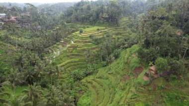 Bali, Endonezya - 11 Kasım 2022: Bali 'nin Turistik Çekim ve Yerleşkeleri