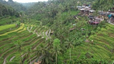 Bali, Endonezya - 11 Kasım 2022: Bali 'nin Turistik Çekim ve Yerleşkeleri