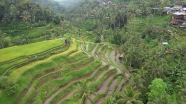 Bali, Endonezya - 11 Kasım 2022: Bali 'nin Turistik Çekim ve Yerleşkeleri