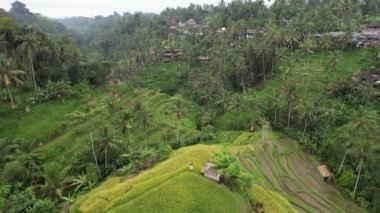 Bali, Endonezya - 11 Kasım 2022: Bali 'nin Turistik Çekim ve Yerleşkeleri