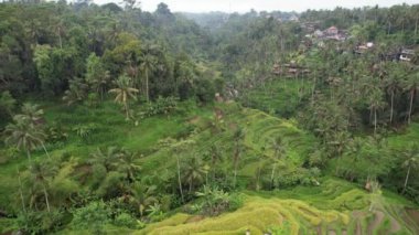 Bali, Endonezya - 11 Kasım 2022: Bali 'nin Turistik Çekim ve Yerleşkeleri