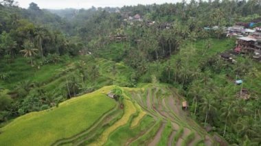Bali, Endonezya - 11 Kasım 2022: Bali 'nin Turistik Çekim ve Yerleşkeleri