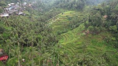 Bali, Endonezya - 11 Kasım 2022: Bali 'nin Turistik Çekim ve Yerleşkeleri