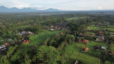 Bali, Endonezya - 11 Kasım 2022: Bali 'nin Turistik Çekim ve Yerleşkeleri