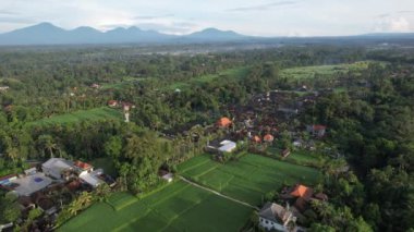 Bali, Endonezya - 11 Kasım 2022: Bali 'nin Turistik Çekim ve Yerleşkeleri