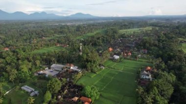 Bali, Endonezya - 11 Kasım 2022: Bali 'nin Turistik Çekim ve Yerleşkeleri
