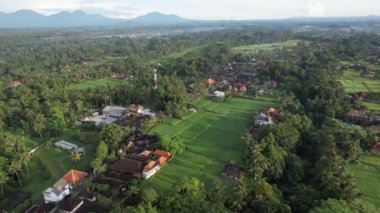 Bali, Endonezya - 11 Kasım 2022: Bali 'nin Turistik Çekim ve Yerleşkeleri