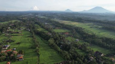 Bali, Endonezya - 11 Kasım 2022: Bali 'nin Turistik Çekim ve Yerleşkeleri