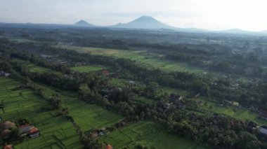 Bali, Endonezya - 11 Kasım 2022: Bali 'nin Turistik Çekim ve Yerleşkeleri