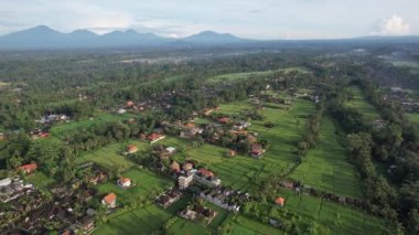 Bali, Endonezya - 11 Kasım 2022: Bali 'nin Turistik Çekim ve Yerleşkeleri
