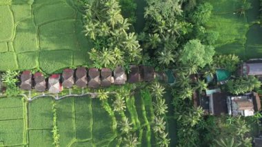 Bali, Endonezya - 11 Kasım 2022: Bali 'nin Turistik Çekim ve Yerleşkeleri
