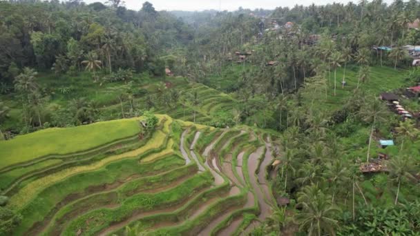 Μπαλί Ινδονησία Νοεμβρίου 2022 Τουριστικά Αξιοθέατα Και Αξιοθέατα Του Μπαλί — Αρχείο Βίντεο