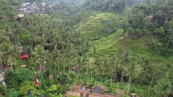 Бали Индонезия Ноября 2022 Года Туристические Достопримечательности Достопримечательности Бали — стоковое видео