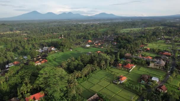 インドネシア 2022年11月11日 バリの観光スポットとランドマーク — ストック動画