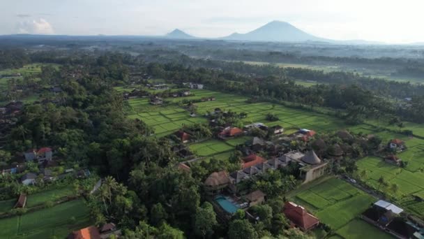 Bali Indonezia Noiembrie 2022 Atracțiile Turistice Reperele Din Bali — Videoclip de stoc