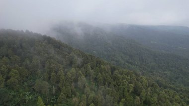 Bali, Endonezya - 11 Kasım 2022: Bali 'nin Turistik Çekim ve Yerleşkeleri