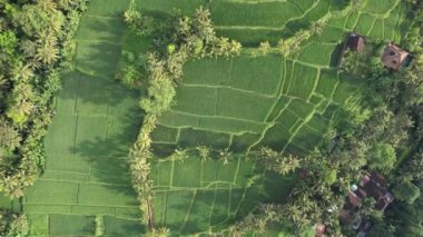 Bali, Endonezya - 11 Kasım 2022: Bali 'nin Turistik Çekim ve Yerleşkeleri