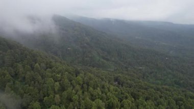 Bali, Endonezya - 11 Kasım 2022: Bali 'nin Turistik Çekim ve Yerleşkeleri