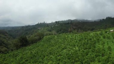 Bali, Endonezya - 11 Kasım 2022: Bali 'nin Turistik Çekim ve Yerleşkeleri