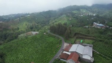 Bali, Endonezya - 11 Kasım 2022: Bali 'nin Turistik Çekim ve Yerleşkeleri