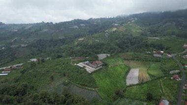 Bali, Endonezya - 11 Kasım 2022: Bali 'nin Turistik Çekim ve Yerleşkeleri