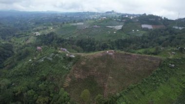 Bali, Endonezya - 11 Kasım 2022: Bali 'nin Turistik Çekim ve Yerleşkeleri