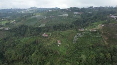 Bali, Endonezya - 11 Kasım 2022: Bali 'nin Turistik Çekim ve Yerleşkeleri